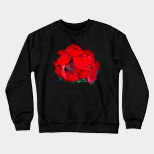 Poinsettia red winter festive flower arrangement bouquet Crewneck Sweatshirt